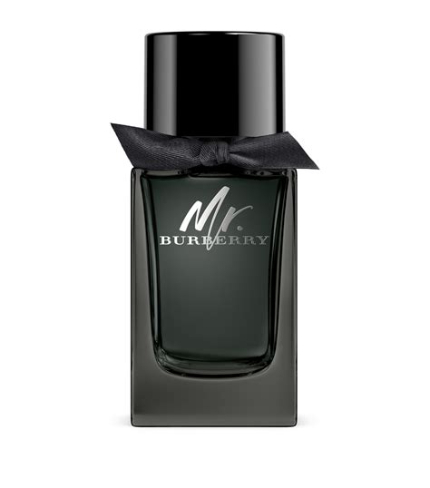 mr burberry edp price|mr burberry indigo fragrantica.